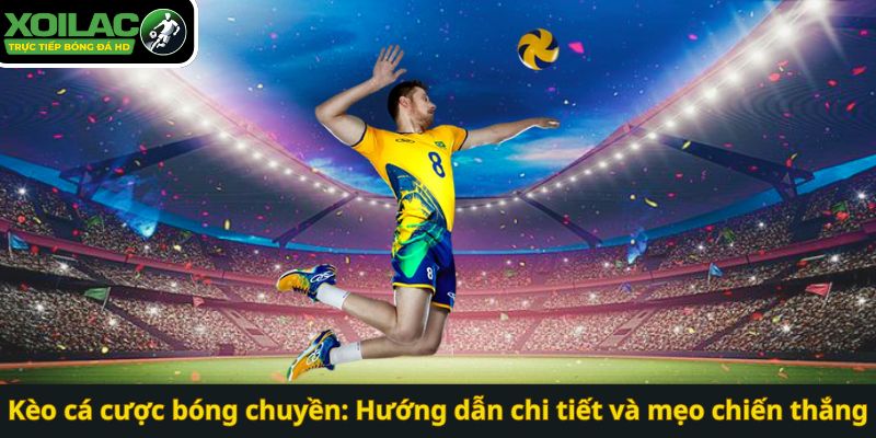 Kèo cá cược bóng chuyền: Hướng dẫn chi tiết và mẹo chiến thắng
