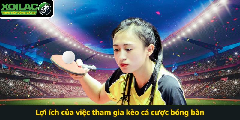 Lợi ích của việc tham gia kèo cá cược bóng bàn