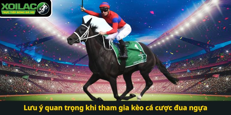 Lưu ý quan trọng khi tham gia kèo cá cược đua ngựa