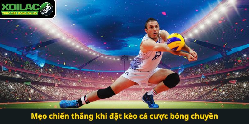 Mẹo chiến thắng khi đặt kèo cá cược bóng chuyền