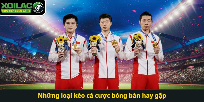 Những loại kèo cá cược bóng bàn hay gặp